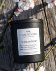L'AMANDIER