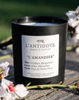 L'AMANDIER