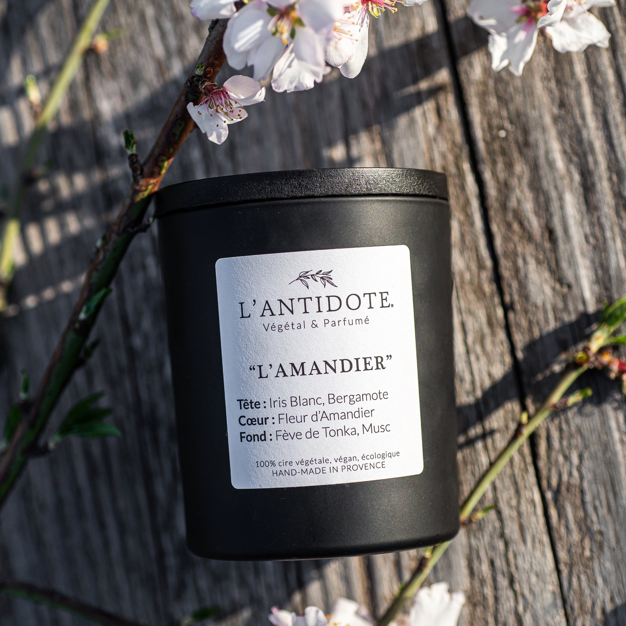 L&#39;AMANDIER