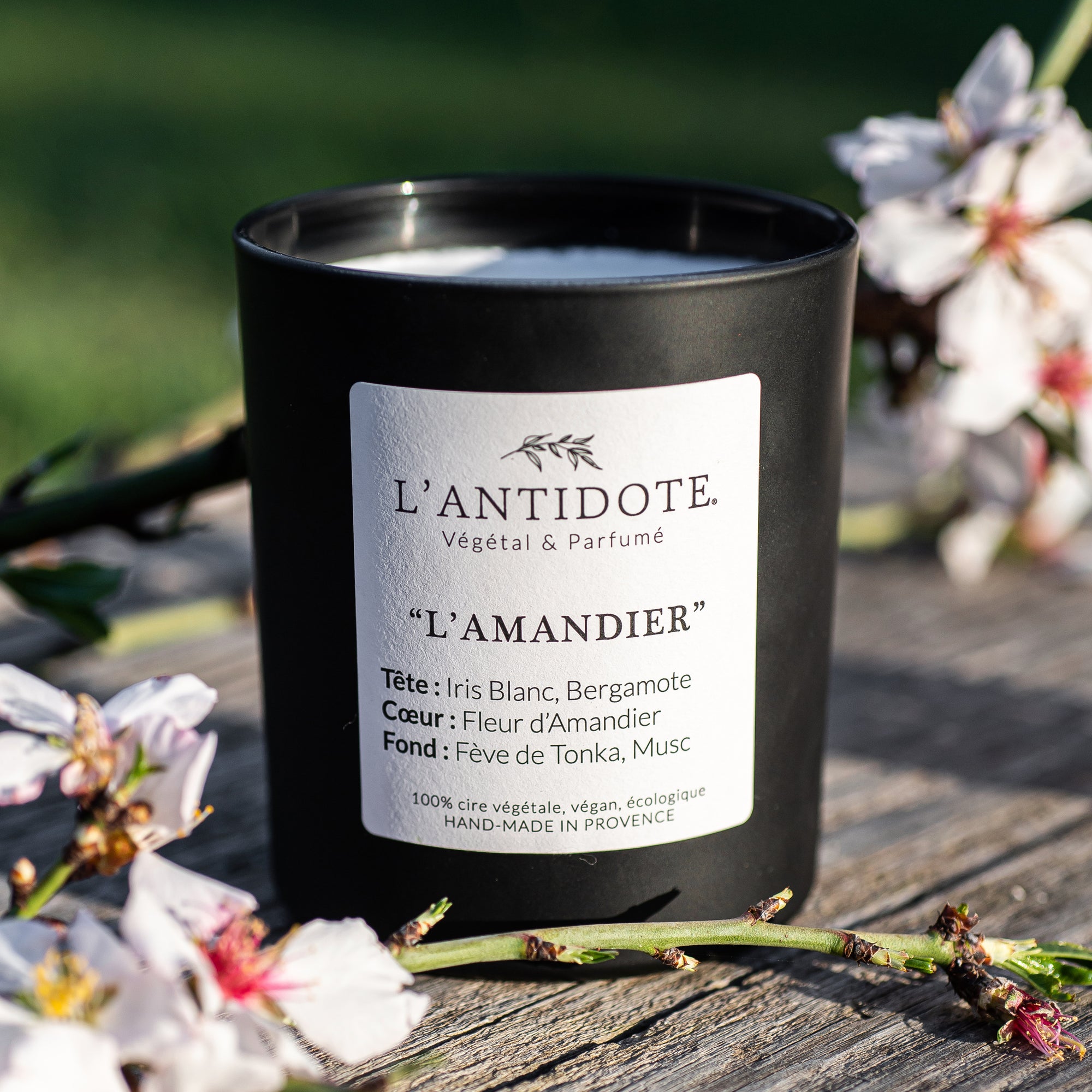 L&#39;AMANDIER